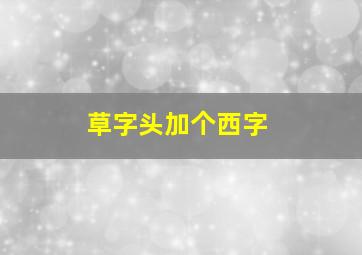 草字头加个西字