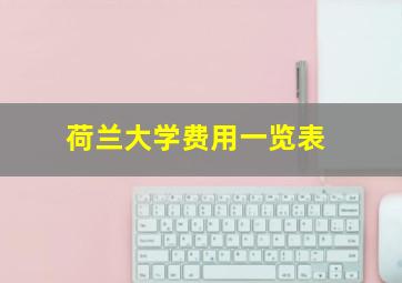 荷兰大学费用一览表