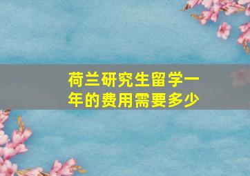 荷兰研究生留学一年的费用需要多少