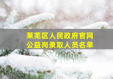 莱芜区人民政府官网公益岗录取人员名单