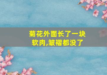 菊花外面长了一块软肉,皱褶都没了