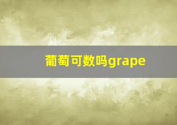 葡萄可数吗grape