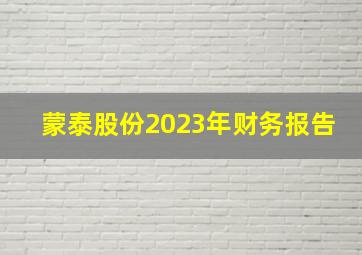 蒙泰股份2023年财务报告