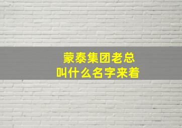 蒙泰集团老总叫什么名字来着