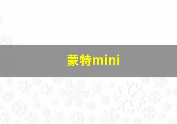 蒙特mini