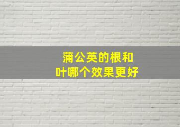 蒲公英的根和叶哪个效果更好