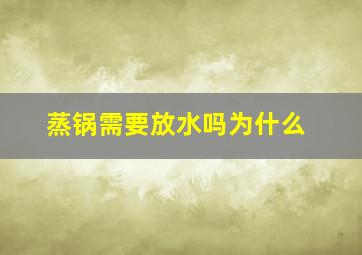 蒸锅需要放水吗为什么