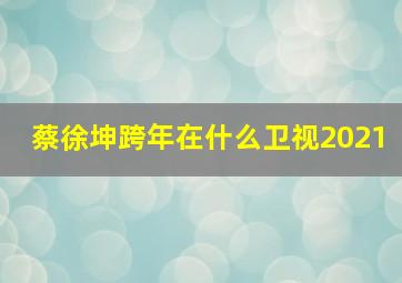 蔡徐坤跨年在什么卫视2021