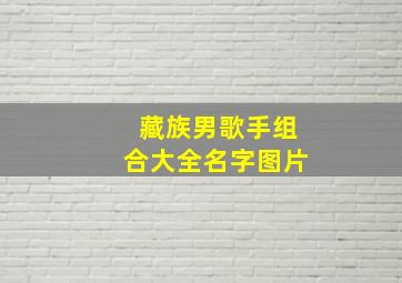 藏族男歌手组合大全名字图片