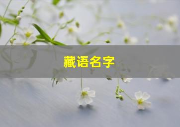 藏语名字