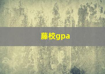 藤校gpa