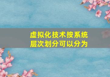 虚拟化技术按系统层次划分可以分为