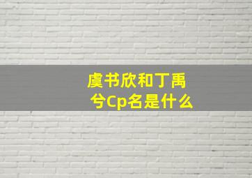 虞书欣和丁禹兮Cp名是什么