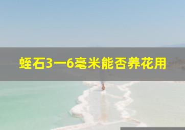 蛭石3一6毫米能否养花用