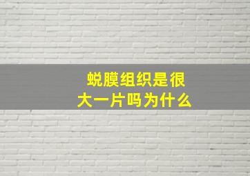 蜕膜组织是很大一片吗为什么