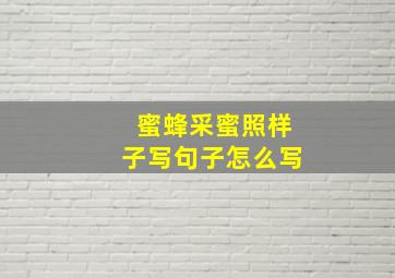 蜜蜂采蜜照样子写句子怎么写