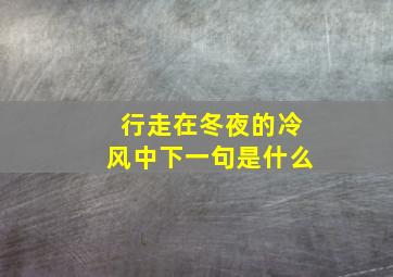 行走在冬夜的冷风中下一句是什么