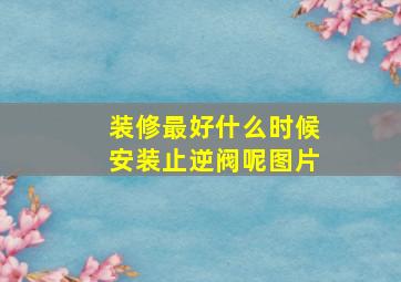 装修最好什么时候安装止逆阀呢图片