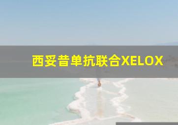 西妥昔单抗联合XELOX