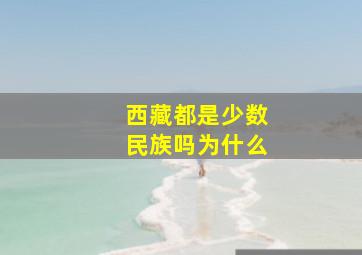 西藏都是少数民族吗为什么