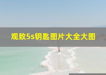 观致5s钥匙图片大全大图