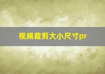 视频裁剪大小尺寸pr