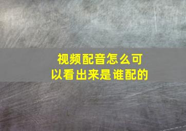 视频配音怎么可以看出来是谁配的