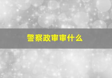 警察政审审什么