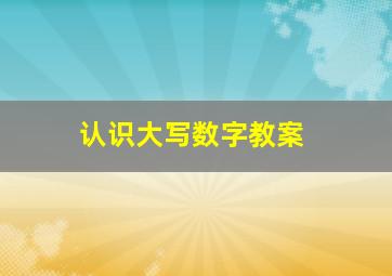 认识大写数字教案