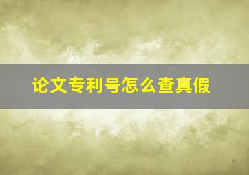 论文专利号怎么查真假