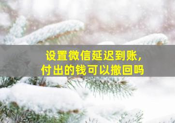 设置微信延迟到账,付出的钱可以撤回吗