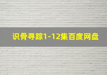 识骨寻踪1-12集百度网盘