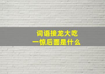 词语接龙大吃一惊后面是什么