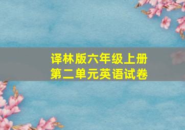 译林版六年级上册第二单元英语试卷