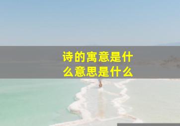 诗的寓意是什么意思是什么