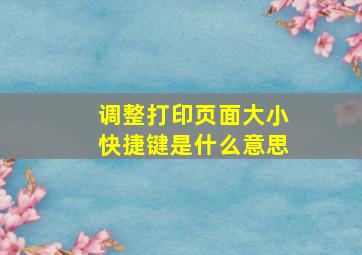 调整打印页面大小快捷键是什么意思