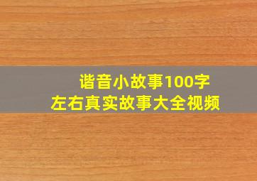 谐音小故事100字左右真实故事大全视频