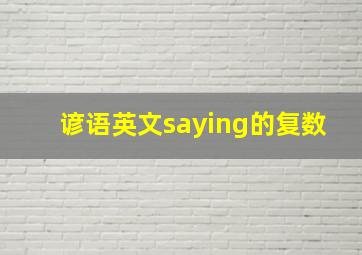 谚语英文saying的复数