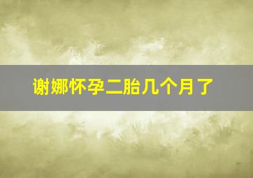 谢娜怀孕二胎几个月了