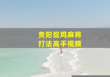 贵阳捉鸡麻将打法高手视频