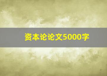 资本论论文5000字