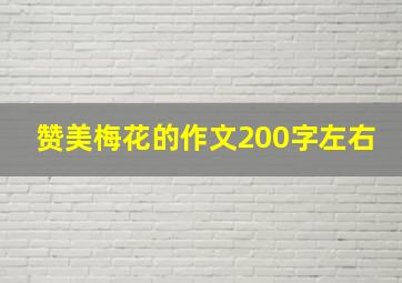 赞美梅花的作文200字左右