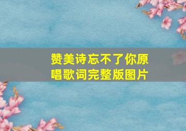 赞美诗忘不了你原唱歌词完整版图片