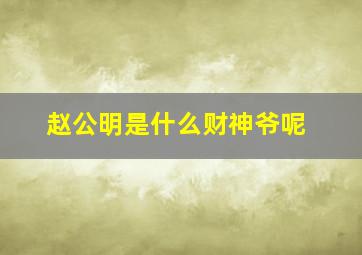 赵公明是什么财神爷呢