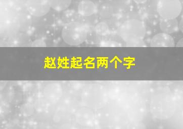 赵姓起名两个字