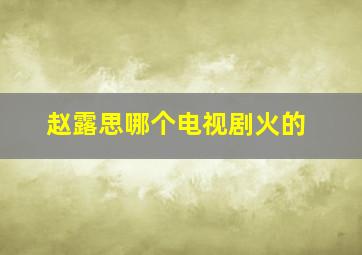 赵露思哪个电视剧火的