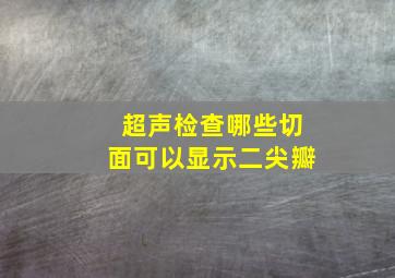 超声检查哪些切面可以显示二尖瓣