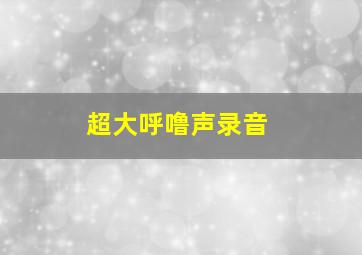 超大呼噜声录音