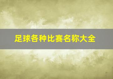 足球各种比赛名称大全