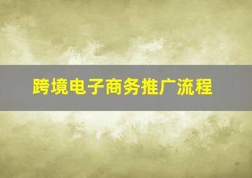 跨境电子商务推广流程